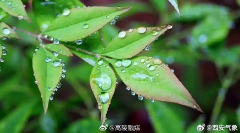 喜雨降临，各地气象更新，共享丰沛雨露美好时光