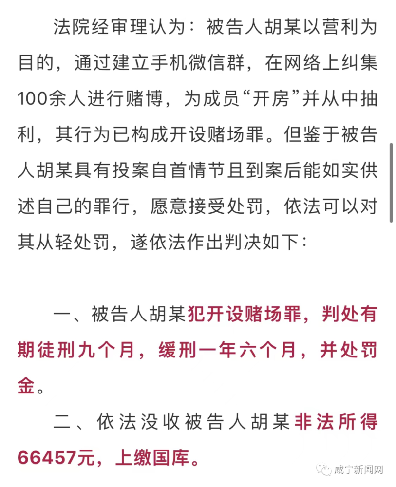 新篇章：吸金陷阱案件审判成果展示