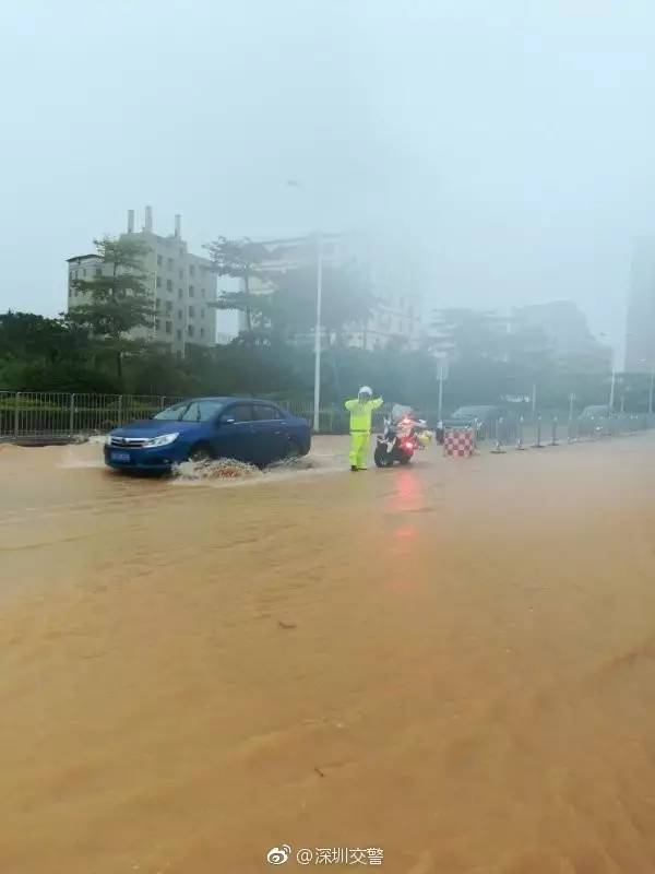 玛娃台风深圳最新动态，风雨同舟，共筑安全家园