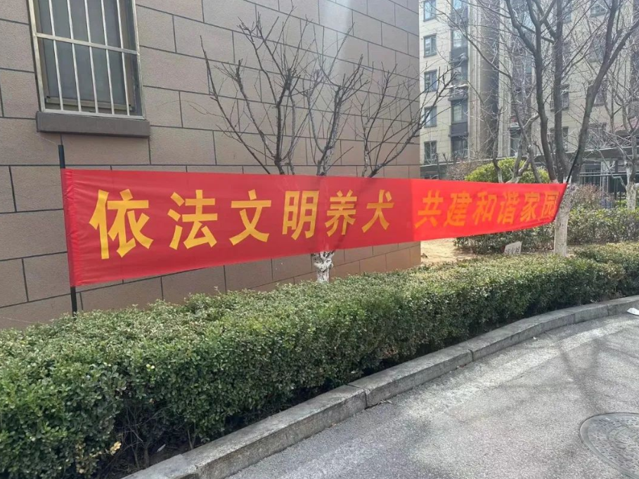 南通地区迎来和谐安宁，共建美好家园新篇章