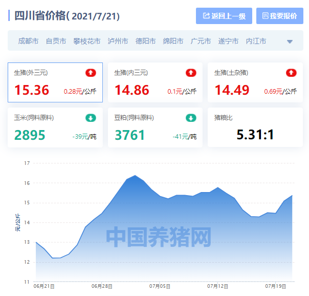 四川生猪最新行情